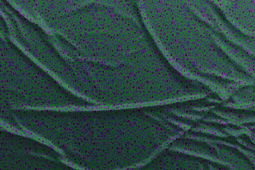 bcg_for_zien_fabric